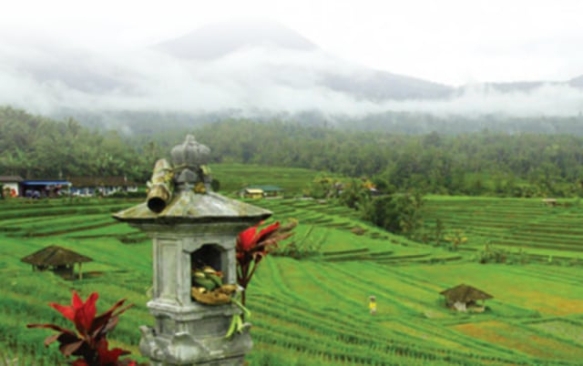 Subak Bali Foto: Dunia Edukasi