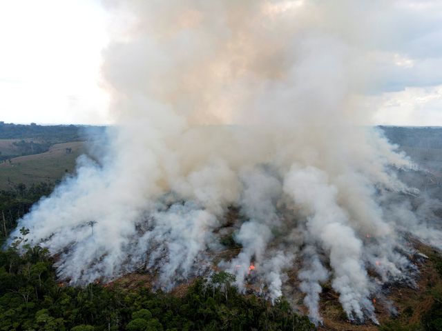 Asap dari vegetasi yang terbakar membubung di hutan hujan Amazon Brasil, di Apui, negara bagian Amazonas, Brasil, Sabtu (4/9). Foto: Bruno Kelly/Reuters