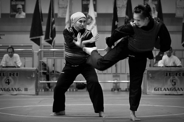 Fungsi dari Gerakan Langkah dalam Pencak Silat (78099)