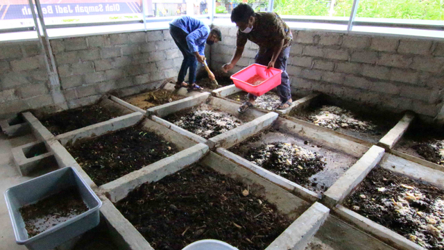 Para mahasiswa FMIPA Universitas Andalas Padang tengah memberikan makan untuk budidaya maggot yang ada di Kota Padang, Sumatera Barat. Foto: Langkan/Kumparan