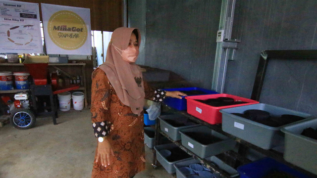 Dosen FMIPA Universitas Andalas Dr. Resti Rahayu tengah memperlihatkan tempat budidaya maggot. Foto: Langkan/Kumparan