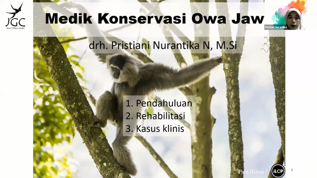 Alumni IPB University Bagikan Informasi Terkait Peran Medik Veterinar dalam Proses Rehabilitasi Owa Jawa