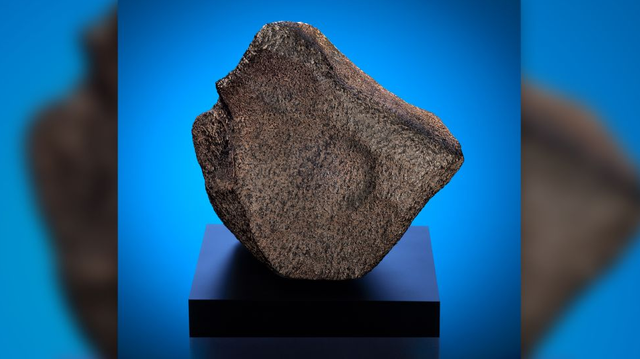 Meteorit Mars terbesar di dunia.  Foto: Maine Mineral and Gem Museum 