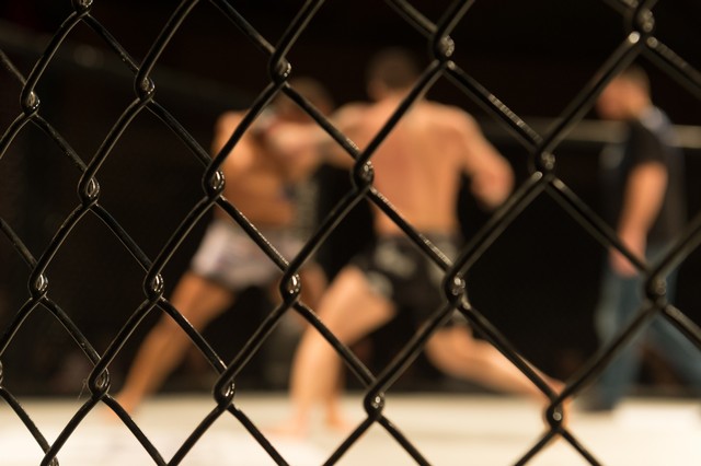 Ilustrasi pertarungan MMA. Foto: Shutter Stock