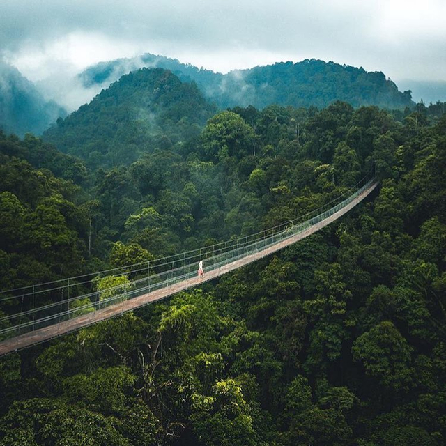 Ilustrasi Situ gunung Suspension Bridge Foto: Situgunung Suspension Bridge/Instagram