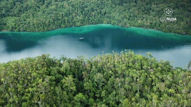 Bentang alam di Tanah Papua. Foto: EcoNusa