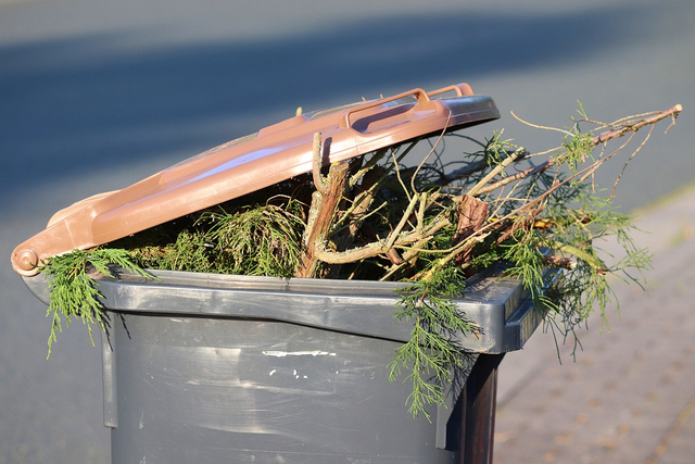 Sampah sisa makanan atau organik. Foto: Pixabay