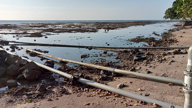 Pantai Carita yang tercemar limbah tambak. Foto: Dok. Agus