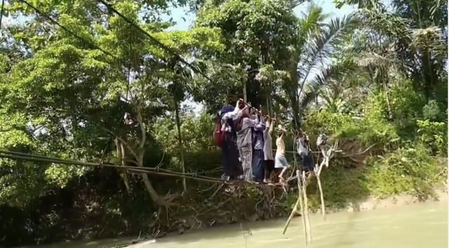 Sejumlah siswa di Kabupaten Luwu, Sulawesi Selatan menyeberangi jembatan tali demi PTM.  Foto: Dok. Istimewa