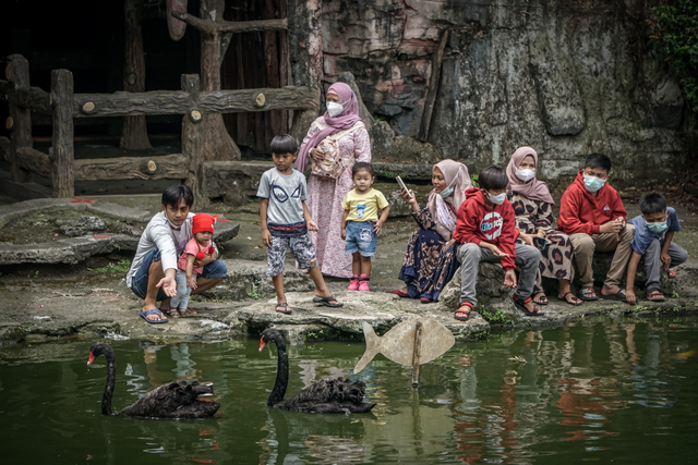 Pengunjung saat melihat satwa di Taman Reptilia Taman Mini Indonesia Indah (TMII), Jakarta Timur, Minggu (12/9). Foto: Iqbal Firdaus/kumparan