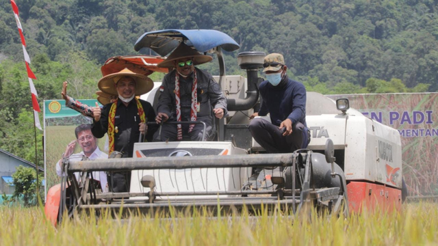Mentan Syahrul Yasin Limpo menghadiri gelaran panen padi Varietas Unggul Baru (VUB) Inpari 32 di Desa Kecurit, Kecamtan Toho, Kabupaten Mempawah, Kalimantan Barat.  Foto: Kementan