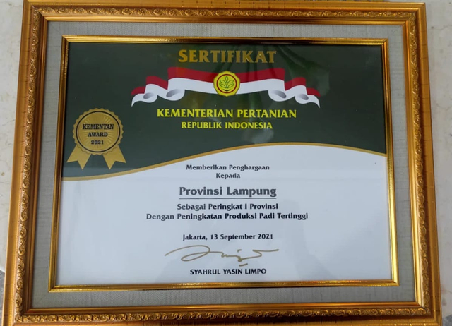 Provinsi Lampung Terima Penghargaan Peringkat Satu Peningkatan Produksi Padi (1)