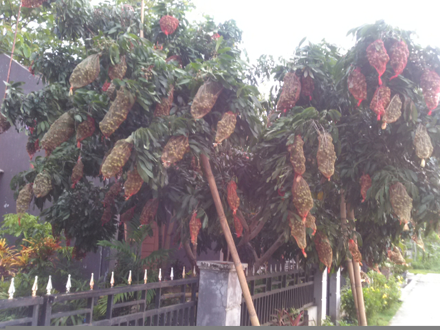 Berbagi Kebaikan, Berkah Melimpah (6961)
