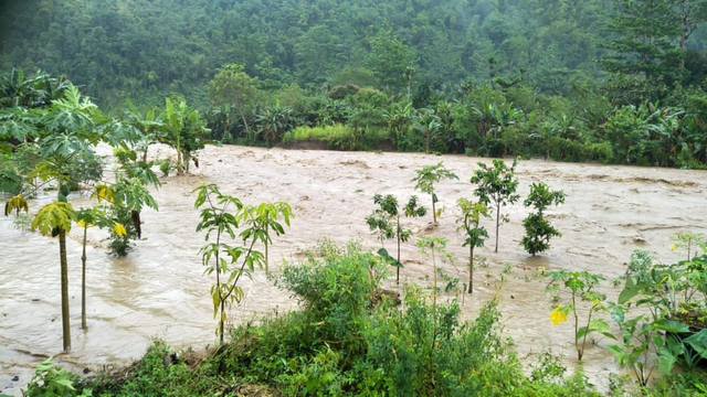 Penampakan Kota Serui Usai Diterjang Hujan Angin, Longsor dan Banjir Bandang  (129359)