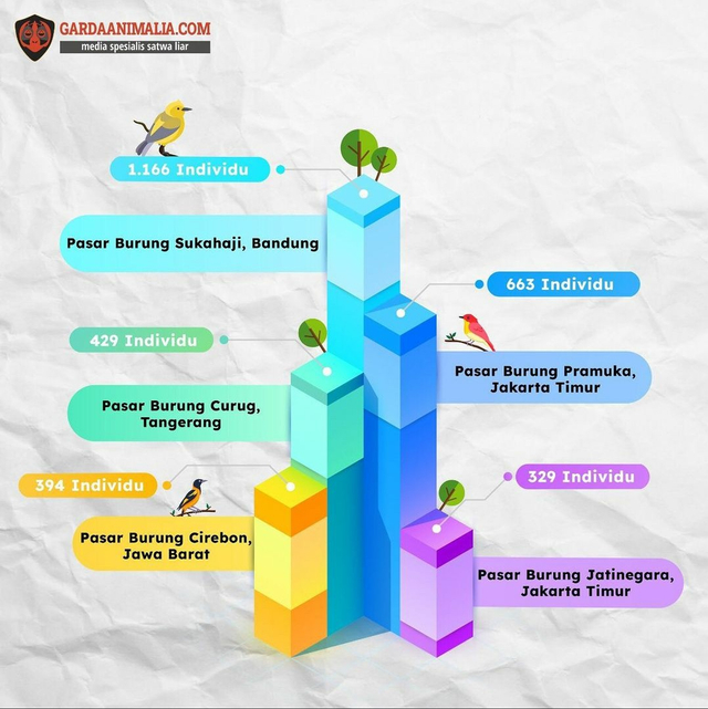 Terungkap, 5 Pasar Penjual Burung Dilindungi Terbesar di Indonesia (404563)
