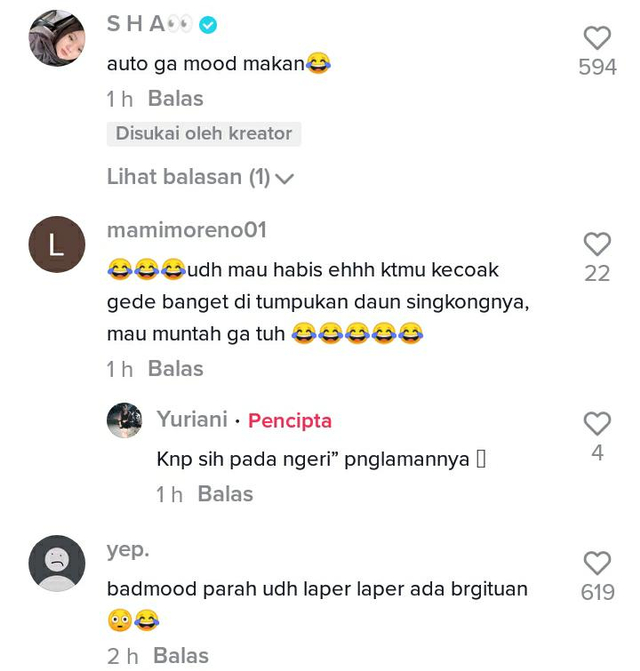 Niatnya Ingin Makan Enak, Wanita Ini Malah Temukan Kaki Seribu Dalam Nasi Padang (53210)