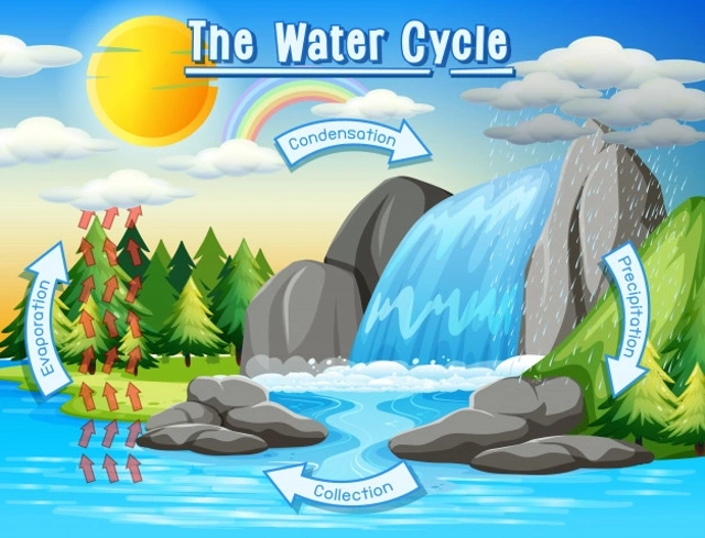 ilustrasi proses terjadinya air tanah, sumber gambar: https://www.freepik.com/