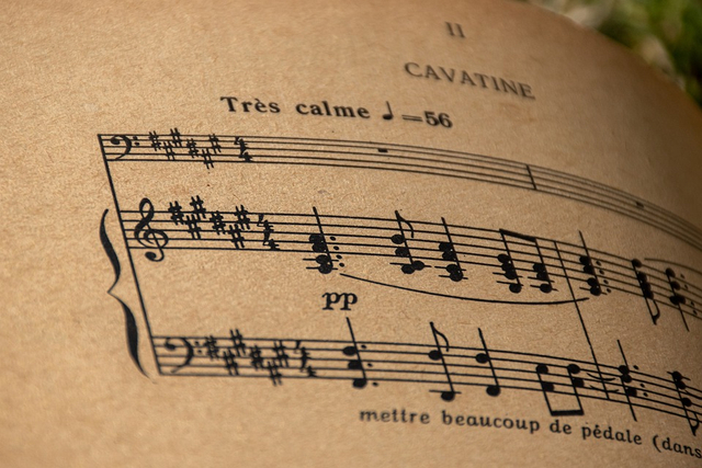 Musik adalah serangkaian nada, yang terbentuk dari beberapa unsur. Foto: Pixabay