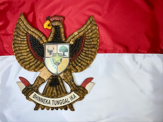 Bagian Lambang Garuda Pancasila, Foto: Pixabay 