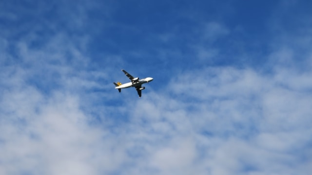 Ilustrasi pesawat tengah terbang Foto: Shutter Stock.