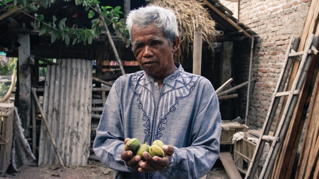 Mencicipi Buah Gayam yang Ditunggui Genderuwo (23063)