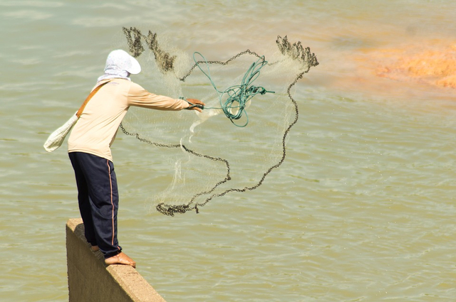 Ilustrasi kegiatan pengambilan sumber daya alam di laut untuk dikonsumsi masyarakat. Foto: Pixabay