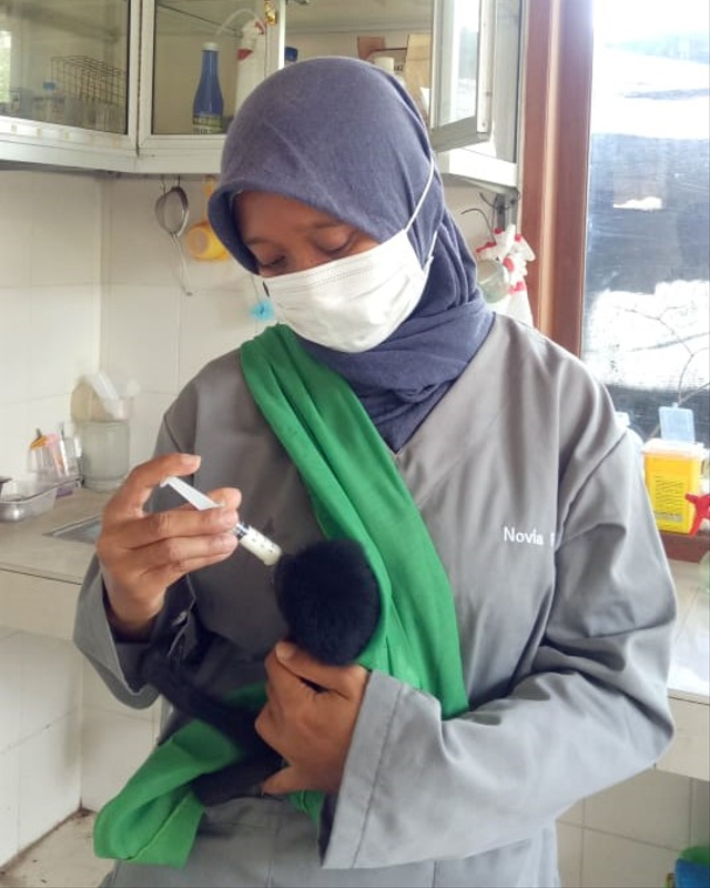 Bali Wildlife Rescue Center, Tempat Berlatih Satwa Sebelum Pulang ke Habitatnya (89340)