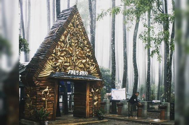 Hutan Pinus Asri di Bantul yang mulai buka. Foto: Instagram/@pinusasri_karangasem