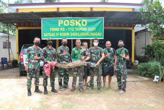 Anggota TNI dari Kodim 0406 Lubuklinggau mengamankan buaya senyulong yang masuk ke pemukiman warga. (foto: istimewa)