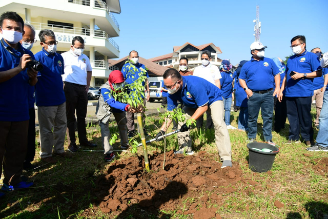 Himpunan Alumni IPB University Hijaukan Kampus Almamaternya dengan Pohon Langka