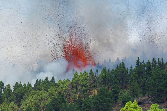 Gunung Berapi di La Palma Spanyol Erupsi Foto: REUTERS/Borja Suarez