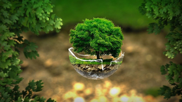Sumber daya alam adalah segala sesuatu yang ada di alam semesta, yang dapat digunakan manusia untuk memenuhi kebutuhan hidupnya. Foto: Pixabay