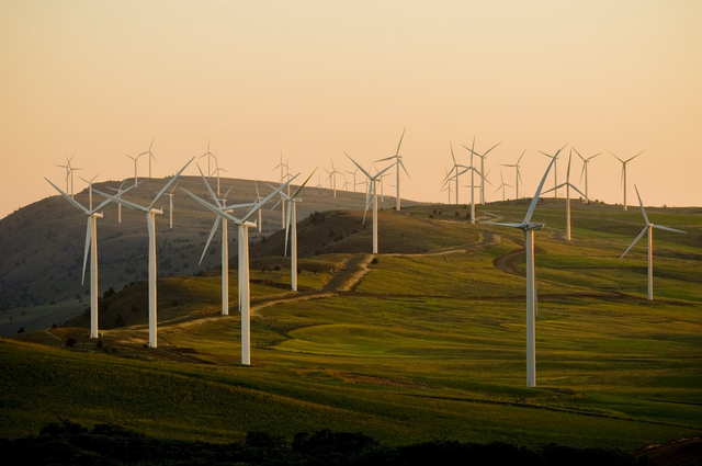 Energi alternatif adalah energi yang berasal dari sumber energi yang dapat diperbarui, salah satu contohnya adalah angin. Foto: Unsplash
