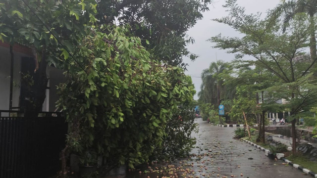 Kondisi usai hujan angin di Depok. Foto: Dok. Warga Vila Pertiwi