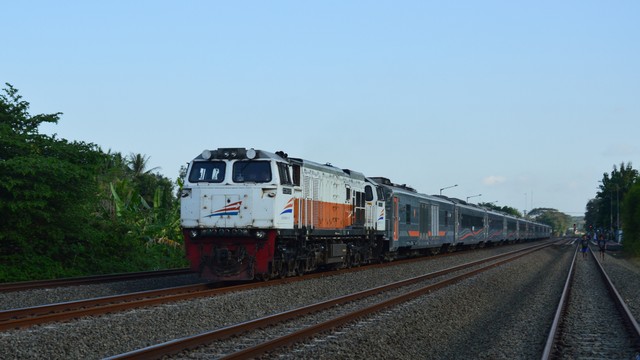 Ilustrasi kereta jarak jauh. Foto: Shutterstock