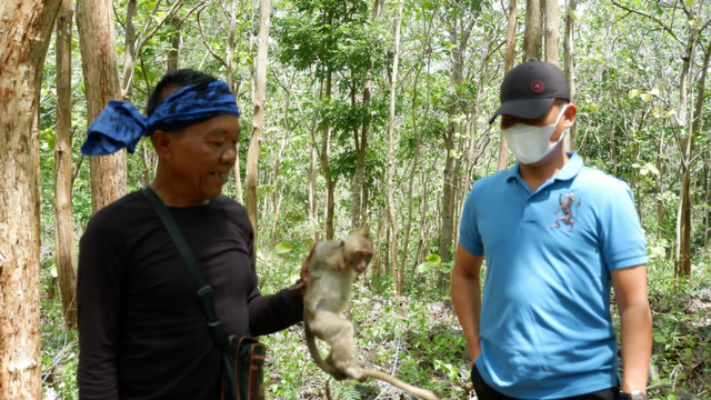 Seorang dari Suku Baduy yang berhasil menangkap monyet ekor panjang di Gunungkidul. Foto: istimewa.
