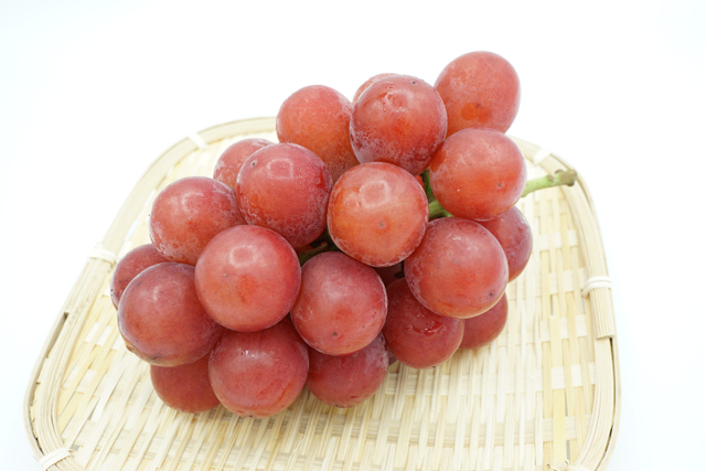 Anggur. Foto: Shutterstock