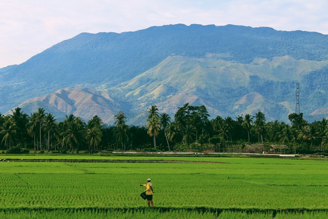 Contoh keanekaragaman hayati tingkat gen. Foto: Unsplash