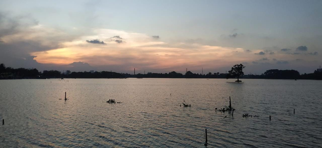 Pesona Danau Situ Cipondoh. Sumber: Dokumen Pribadi