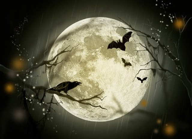 Apakah Bulan Memiliki Cahaya Sendiri?, Foto: Pixabay