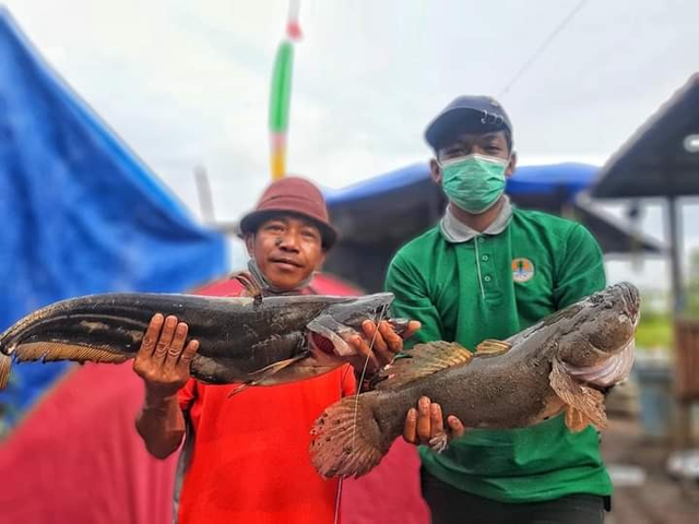 Gambar 1. Suriato (berbaju merah) bersama masyarakat memperlihatkan ikan hasil tangkapan (sumber foto : Fatur Rahman)