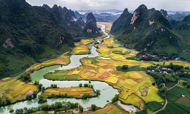 Ekosistem sawah merupakan salah satu ekosistem yang ada di daratan. Sumber: Pixabay.com