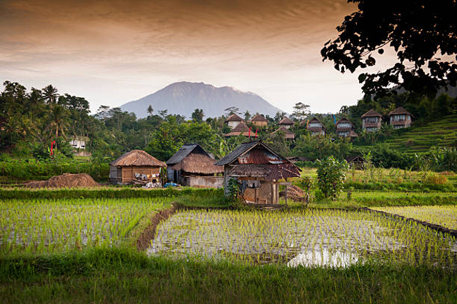 Lirik lagu Desaku. Foto: iStock