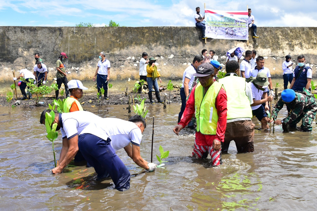 Cegah abrasi, Lantamal XIV Sorong tanam 2.500 mangrove, di pesisir pantai sekitar kawasan Bandara Deo Sorong, foto: Yanti/Balleo News