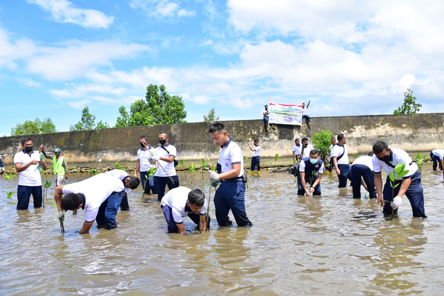 Penanaman 2.500 pohon mangrove dilakukan dalam rangka memperingati HUT TNI tahun 2021,foto: Yanti/Balleo News