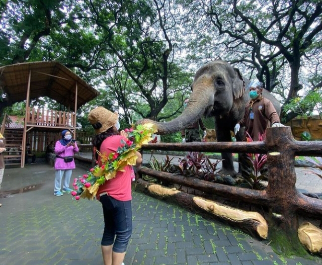 Kebun Binatang Surabaya (KBS). Foto: Instagram KBS