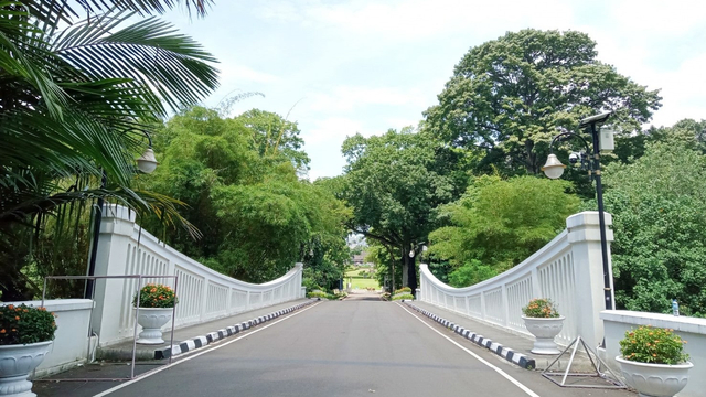 Pemandangan jembatan dan pepohonan yang rindang pada siang hari di Kebun Raya Bogor, Jumat (24 September 2021). (Foto: Dinda Noviana Rambe Putri)