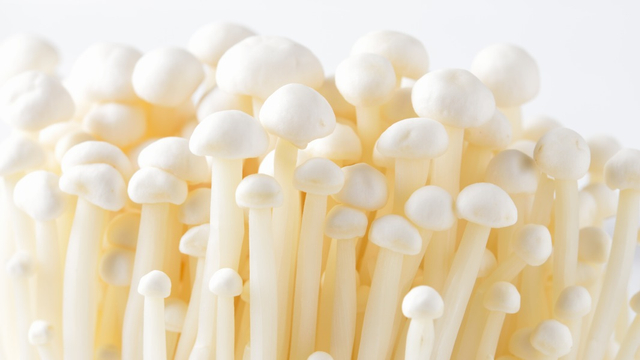 7 Manfaat Jamur Enoki untuk Kesehatan Anak Foto: Shutterstock