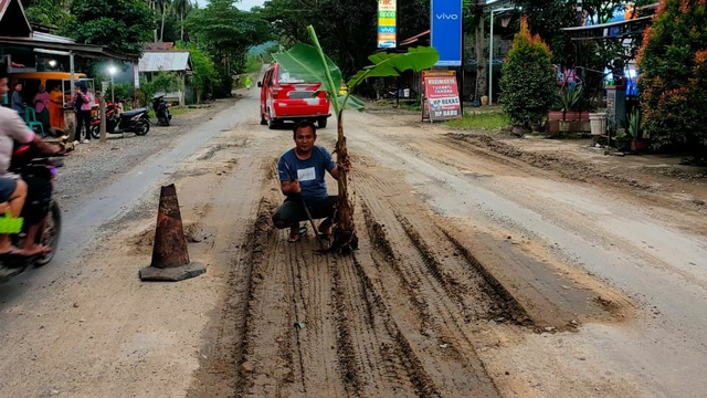 Warga di Dusun Lombongan, Majene, Sulawesi Barat, menanam pohon pisang di jalan sebagai bentuk protes karena ruas Jalan Trans Sulawesi di daerah tersebut tak kunjung diperbaiki. Foto: Dok. Istimewa