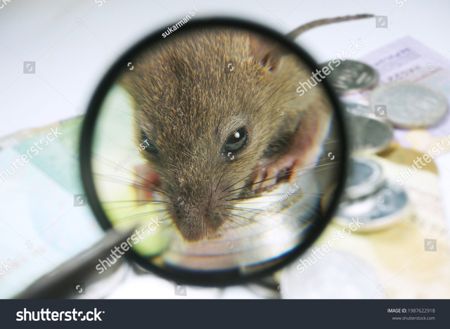 Tikus koruptor. Sumber: shutterstock.com/Sukarman S.T